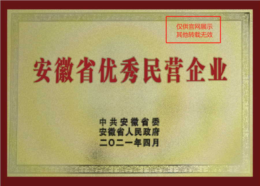 安徽优良民营企业