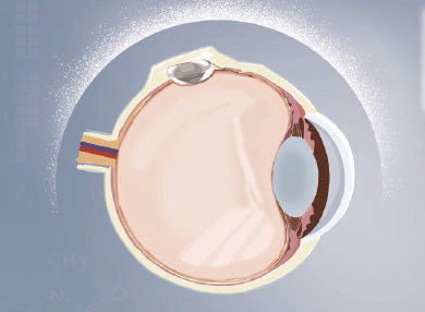 首页| 28圈游戏有限公司官方网站