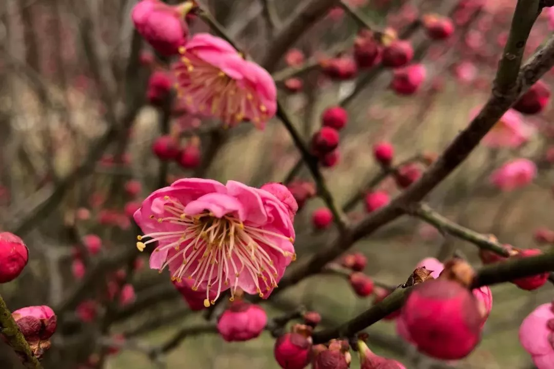 首页| 28圈游戏有限公司官方网站